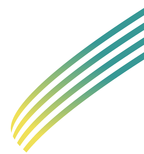 Visionary Cyber Solutions