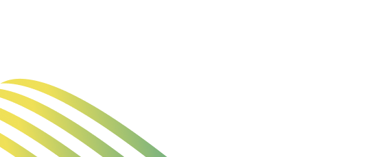 Visionary Cyber Solutions