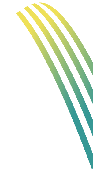 Visionary Cyber Solutions