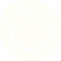 Visionary Cyber Solutions