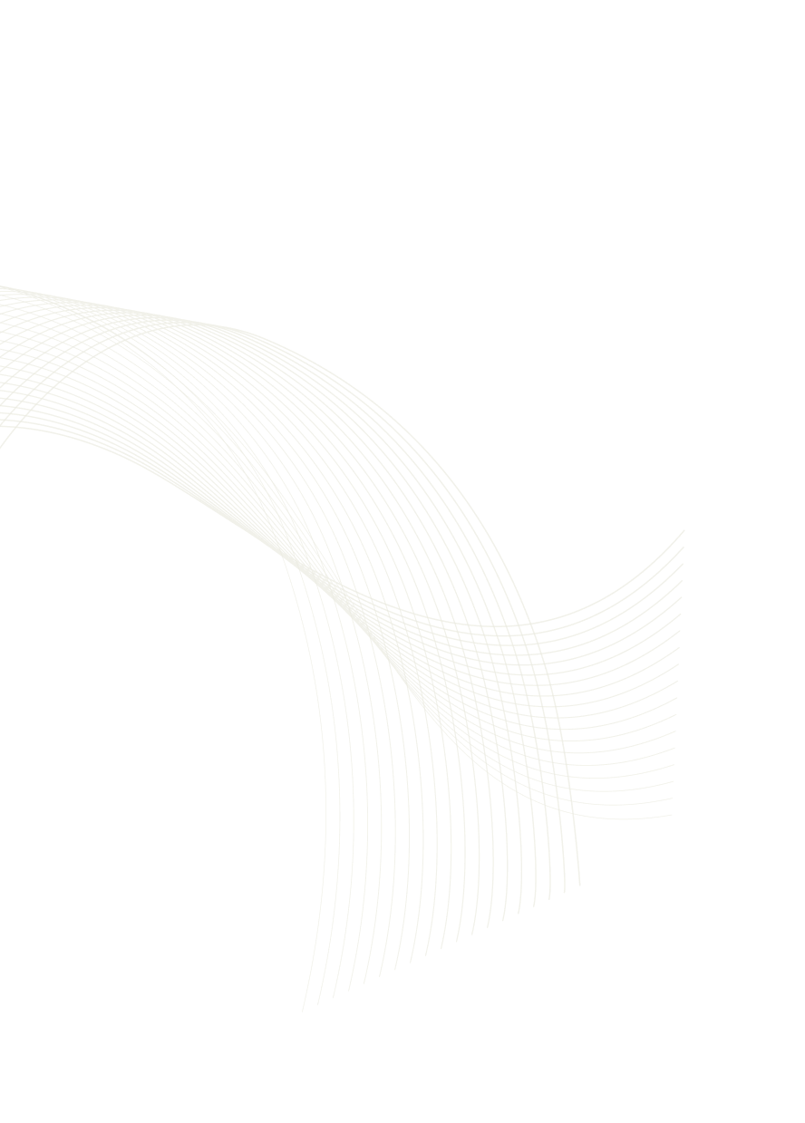 Visionary Cyber Solutions