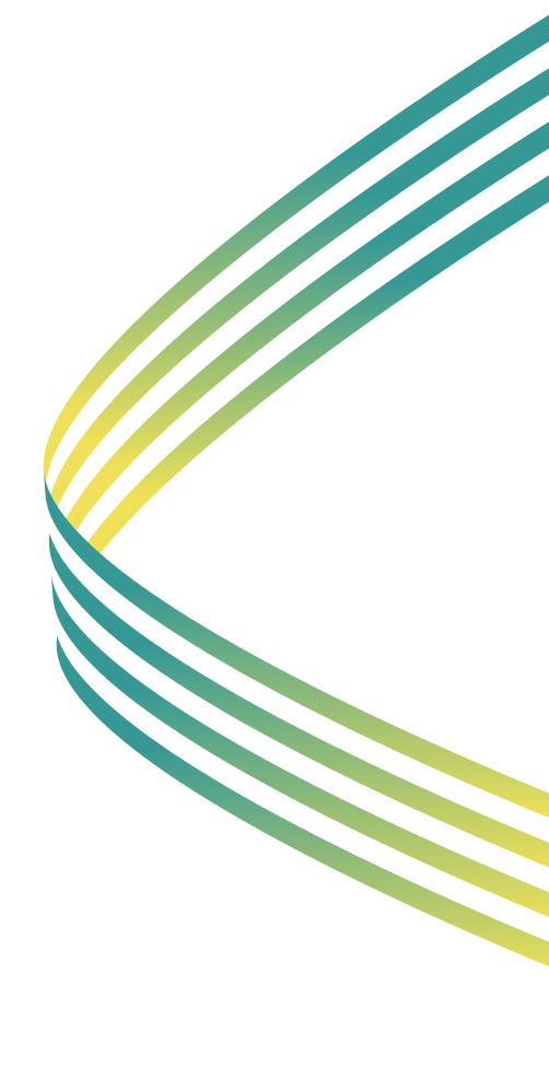 Visionary Cyber Solutions