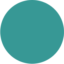 Visionary Cyber Solutions