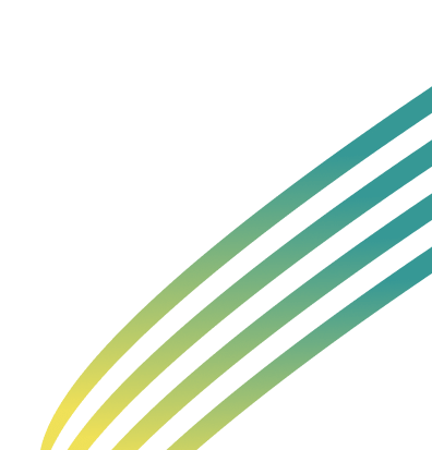 Visionary Cyber Solutions